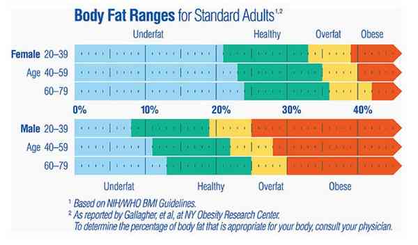 Normal Body Fat ranges for standard adults (Healthy, Obese, Over fat)