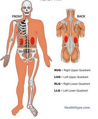 kidney pain location (front & back)