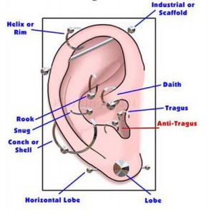 Helix Piercing diagram