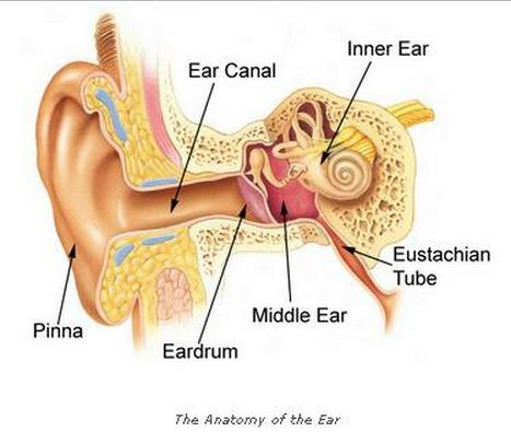 Home Remedies for Ear Infections