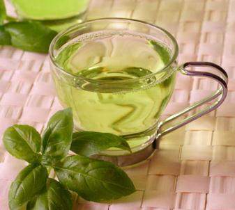 green tea for weight loss